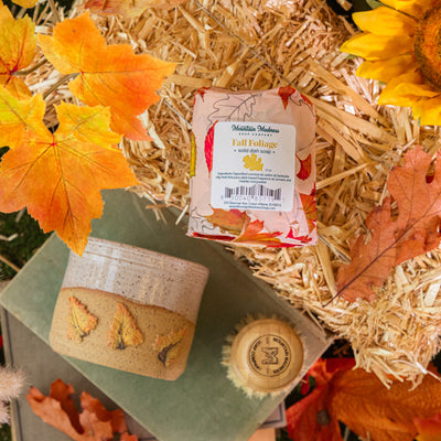 Bubbles & Bristles - Fall Edition