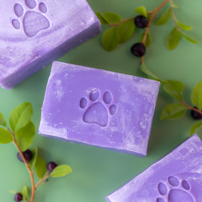 Huckleberry Hound Dog Shampoo