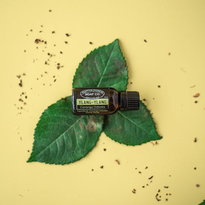 Ylang-Ylang Essential Oil