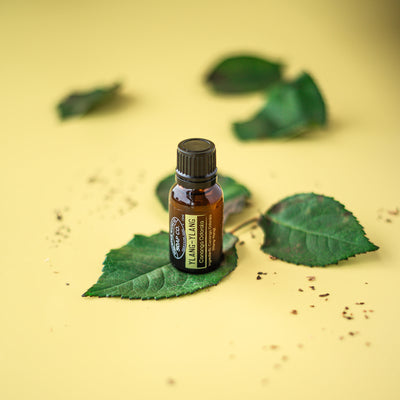 Ylang-Ylang Essential Oil