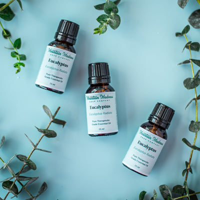 Eucalyptus Essential Oil