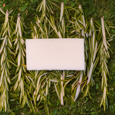Everything Bar Sample