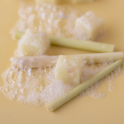 Lemongrass Sugar Scrub Cubes
