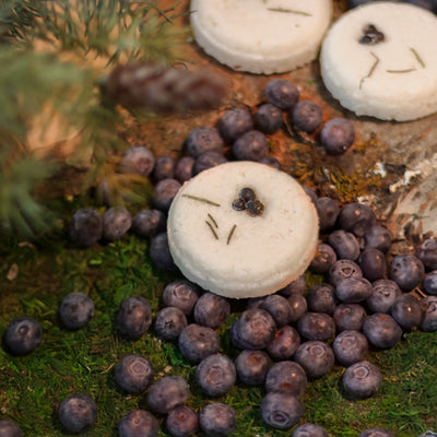 Huckleberry Shampoo Bar
