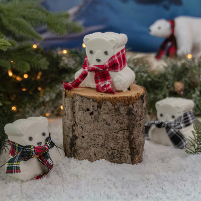 Polar Plunge Bath Bomb