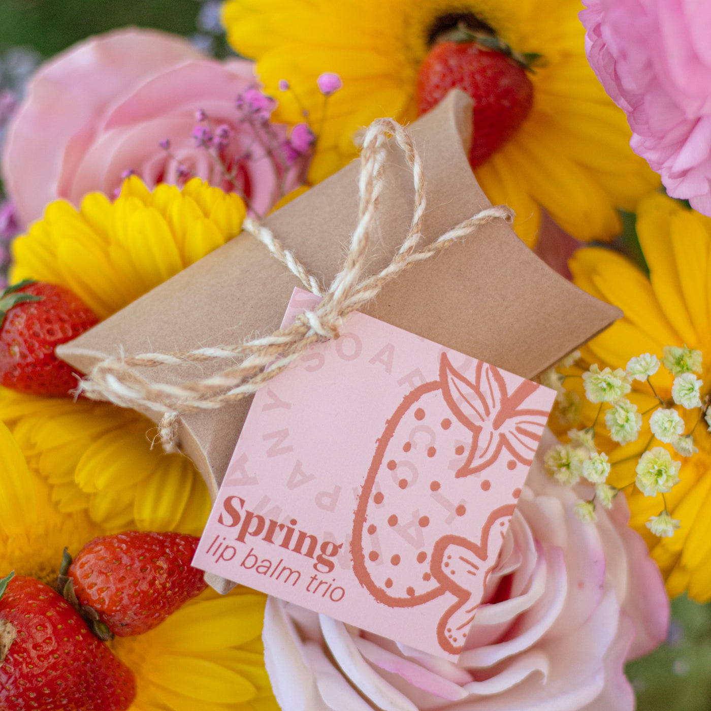 Spring Lip Balm Trio