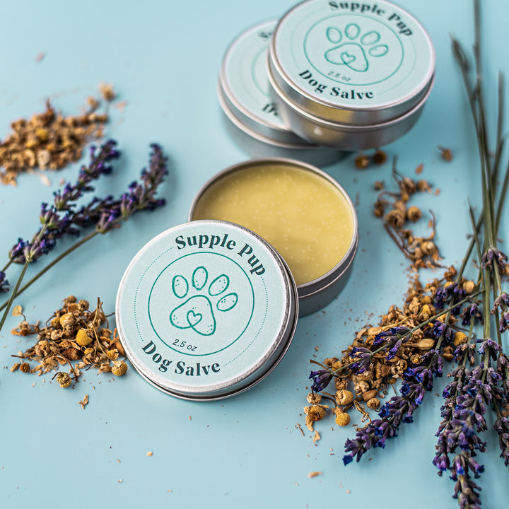 Supple Pup Dog Salve - Floral, herbal and woodsy handcrafted dog balm with shea butter, hemp oil and essential oils