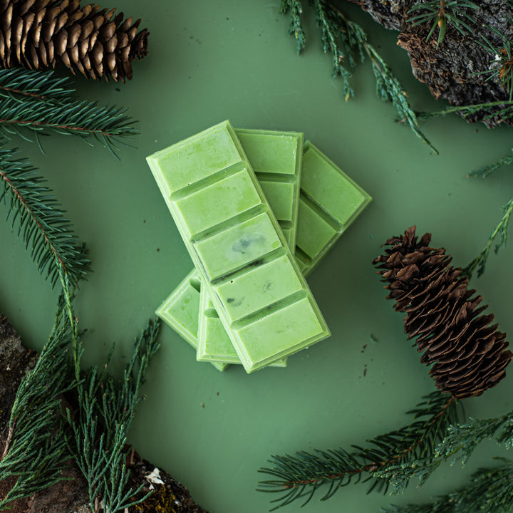 Tree Hugger Wax Melts - Woodsy handcrafted soy wax melts with essential oils in compostable packaging