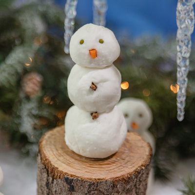 Winter Wonder Bubble Bar