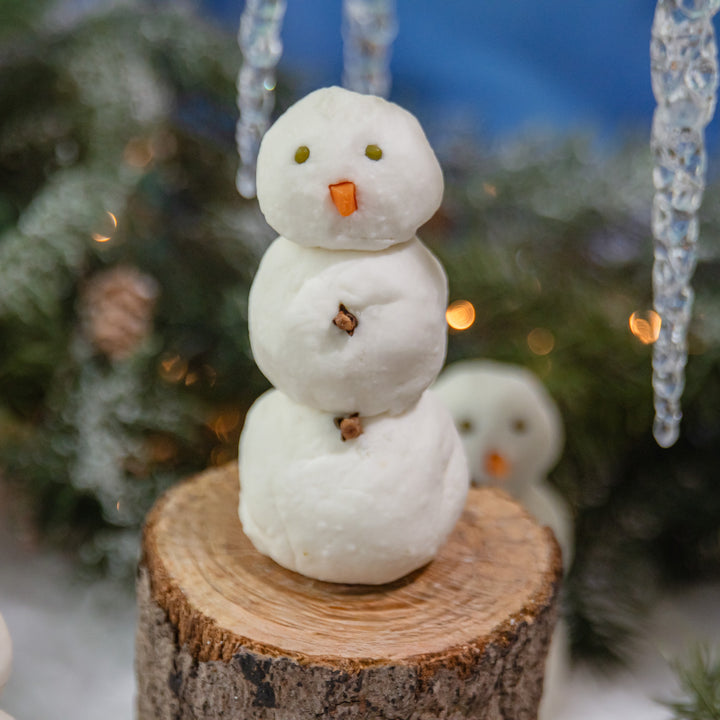 Winter Wonder Bubble Bar, a handcrafted bubble bar. Woodsy and herbal with juniper and citrus.