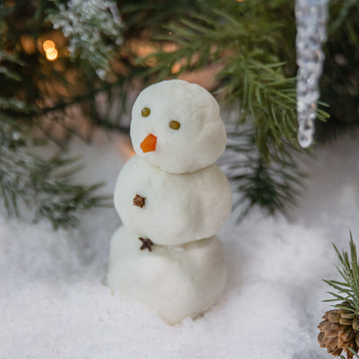 Winter Wonder Bubble Bar