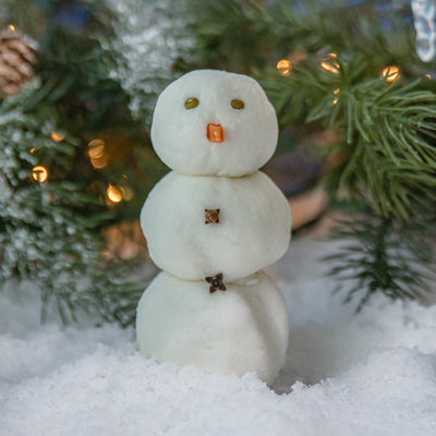 Winter Wonder Bubble Bar