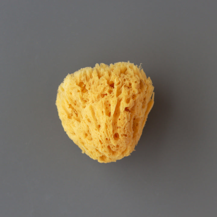 Wool Sea Sponge - natural exfoliating handcrafted bath sponge with organic wool and sea materials for gentle cleansing